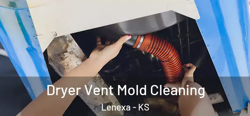 Dryer Vent Mold Cleaning Lenexa - KS