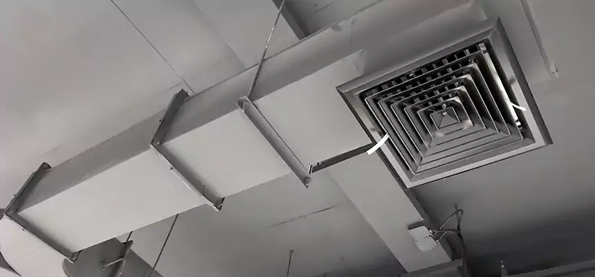 Restorative Allergy Relief Vent Cleaning – Coil, Blower & Housing Detail in Lenexa