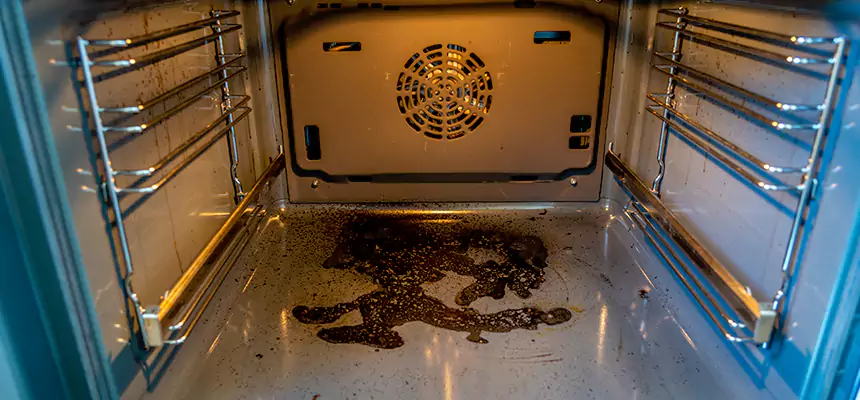 Our Dryer Vent Mold Cleaning Services in Lenexa, KS