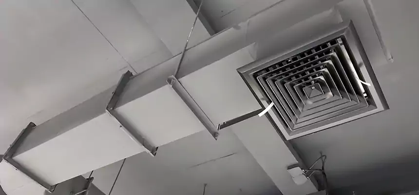 Our Pest Removal From Ducts Services in Lenexa, KS