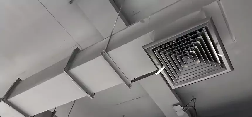 Our Rodent Droppings In Vents Services in Lenexa, KS