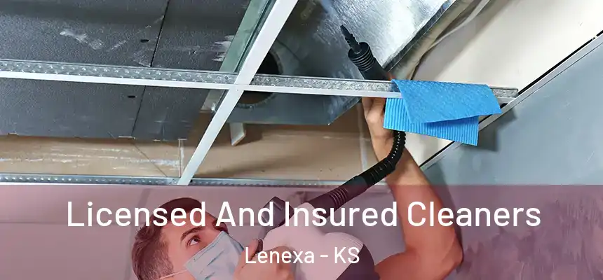  Licensed And Insured Cleaners Lenexa - KS