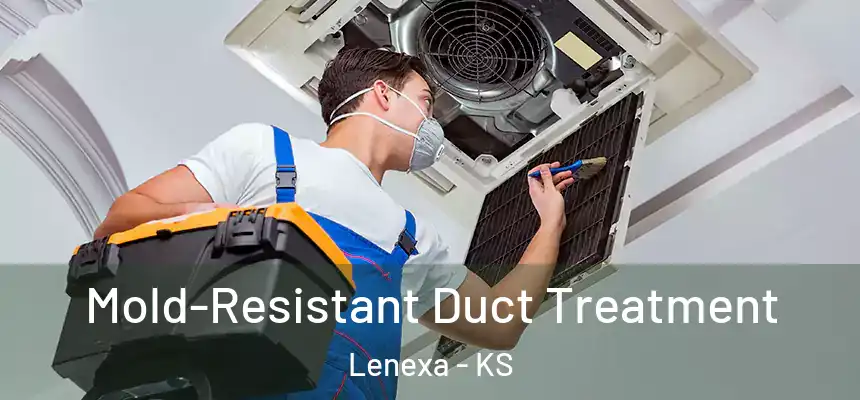  Mold-Resistant Duct Treatment Lenexa - KS
