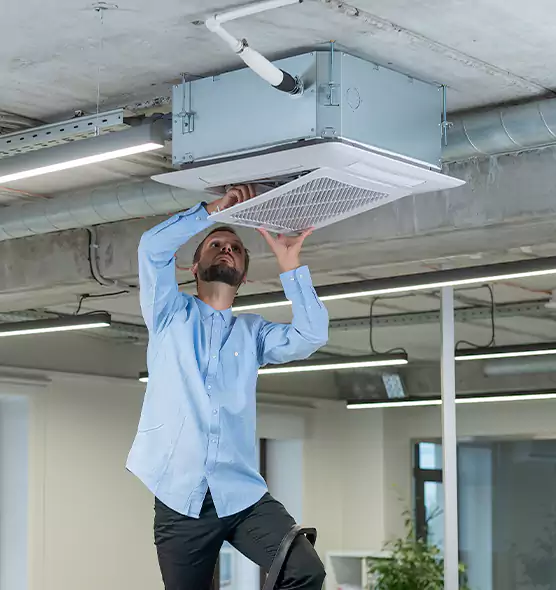 Advanced Rodent Droppings In Vents in Lenexa, KS