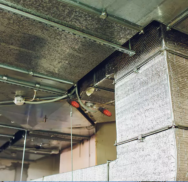 Why Homeowners & Businesses Trust Us in Lenexa, KS?