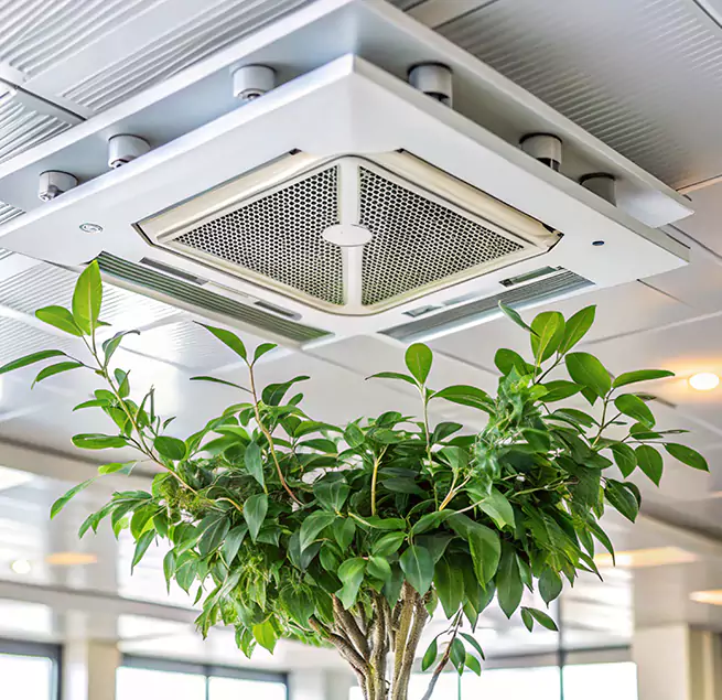 Why Homeowners & Businesses Trust Us in Lenexa, KS