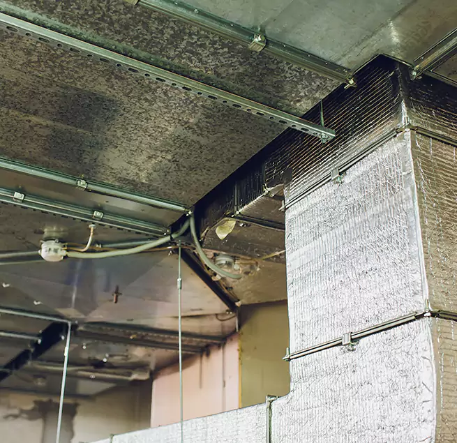 Why Homeowners & Businesses Trust Us in Lenexa, KS?